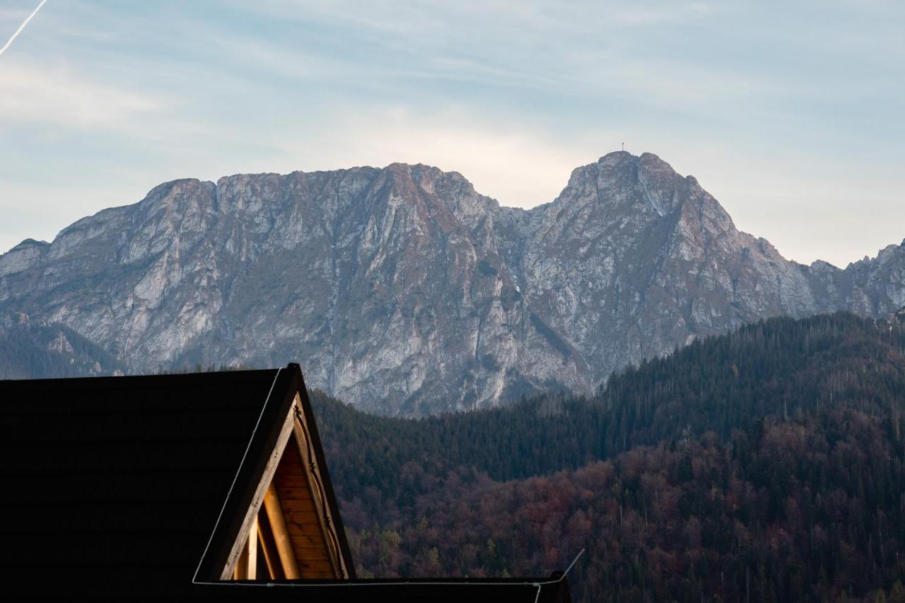 Apartamenty Rezydencja Karpielowka Kościelisko Exterior foto